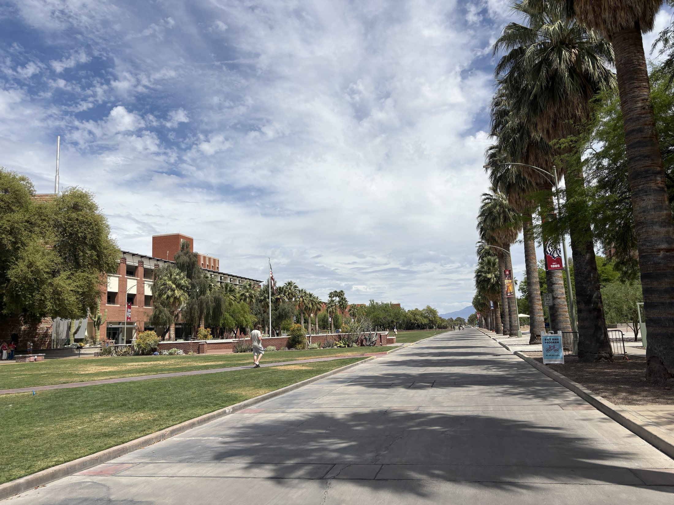 Auto Dealership Roofing - commercial roofing in Tucson, AZ