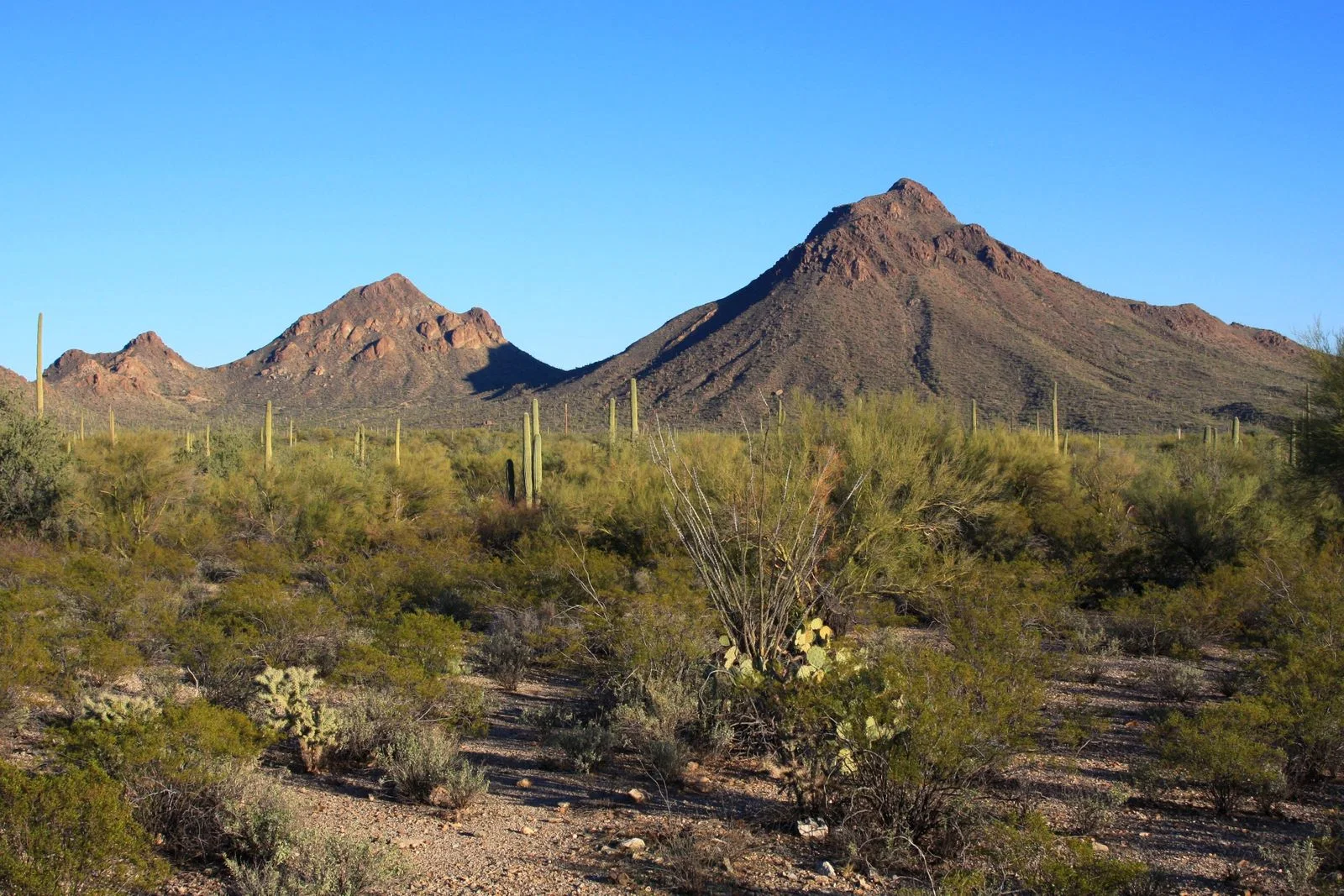 Flowing Wells — commercial roofing in Tucson, AZ