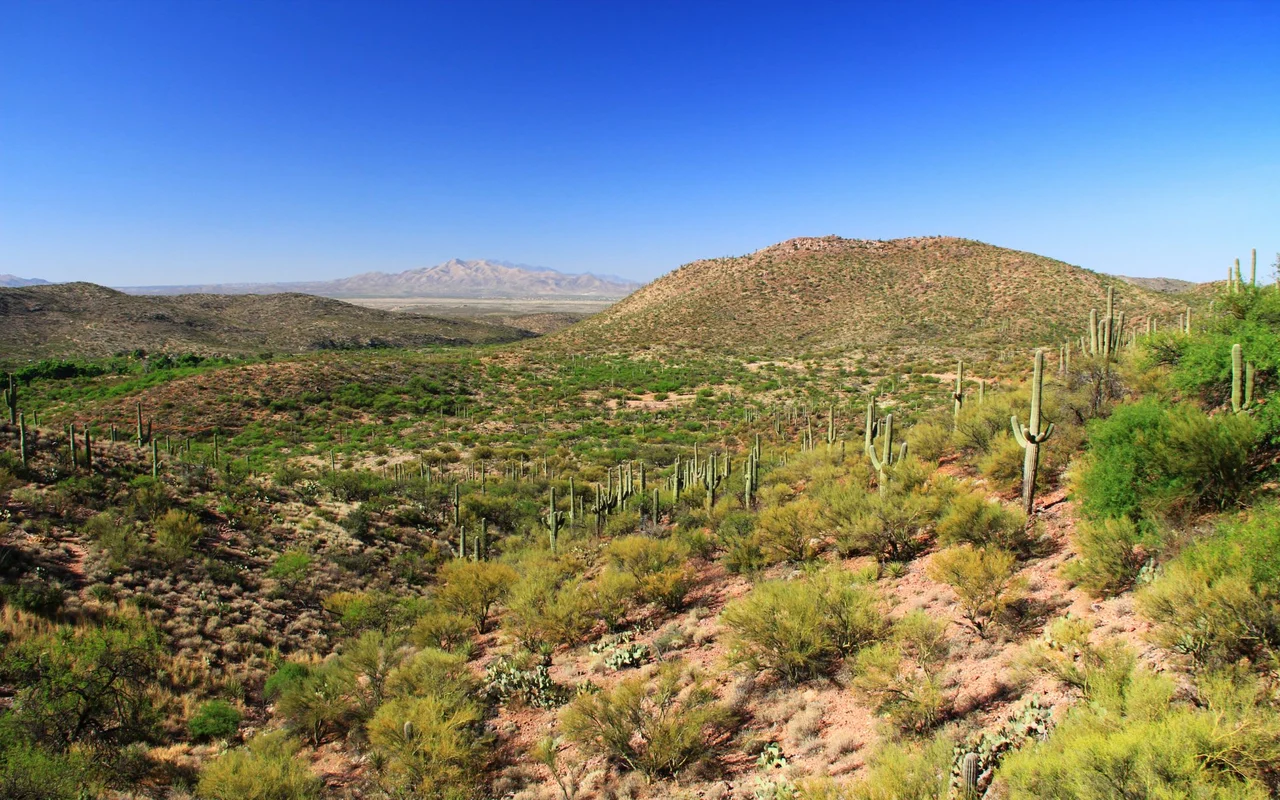 Vail — commercial roofing in Tucson, AZ
